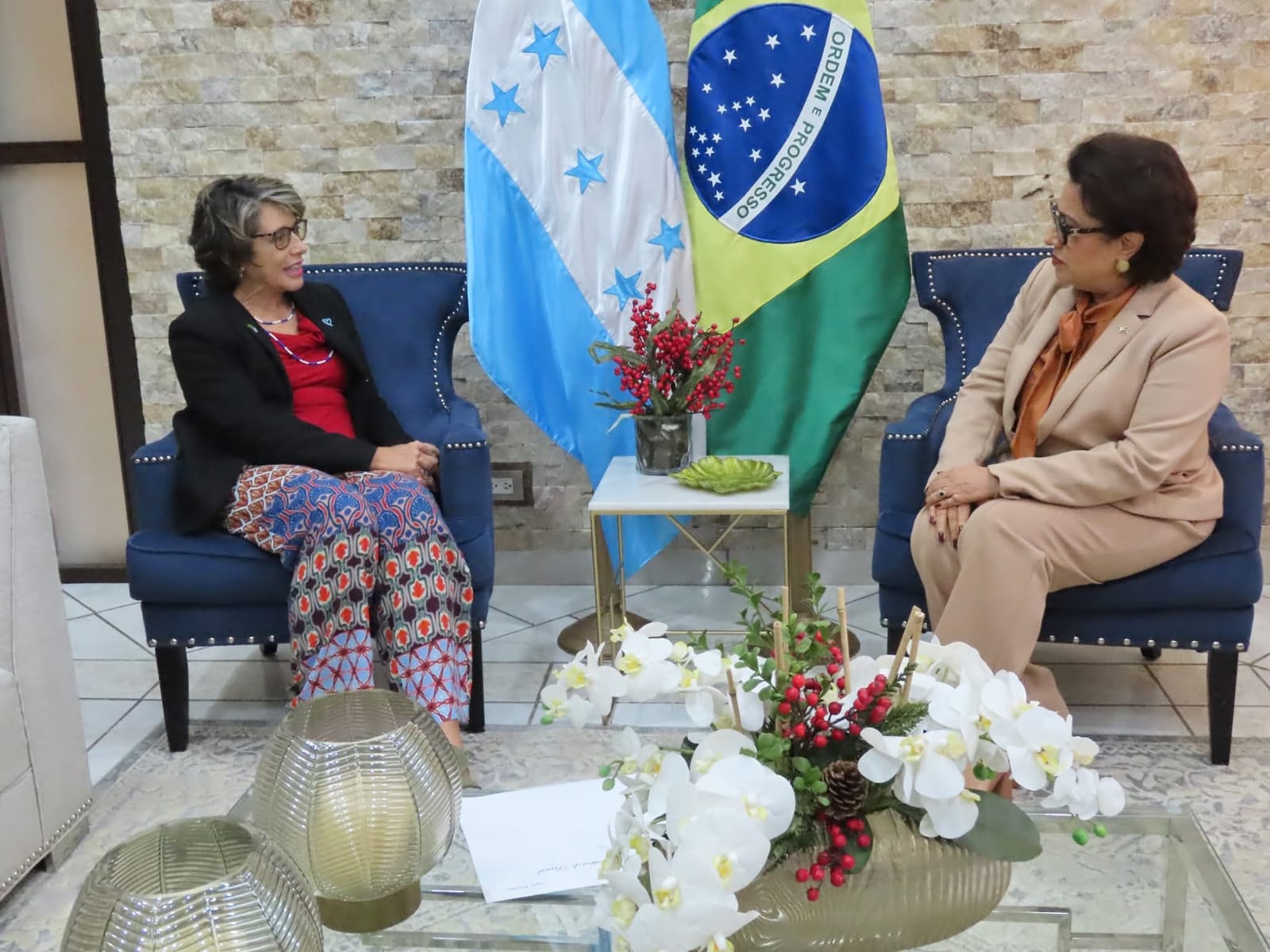 Presidenta de la CSJ recibe a la Embajadora de Brasil